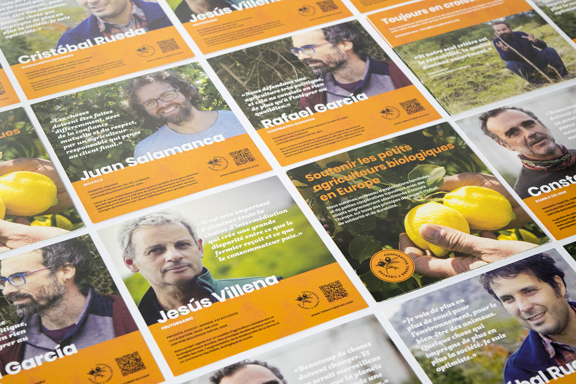 Animation of a promotional bochure being opened